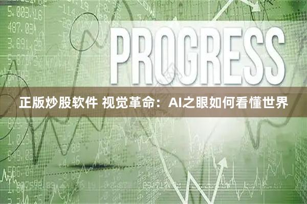 正版炒股软件 视觉革命：AI之眼如何看懂世界