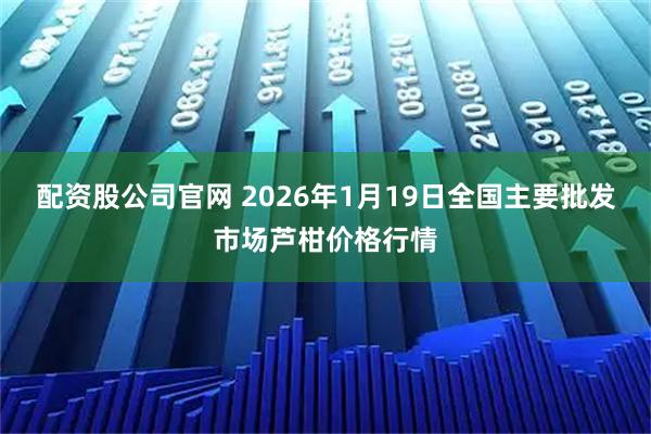配资股公司官网 2026年1月19日全国主要批发市场芦柑价格行情