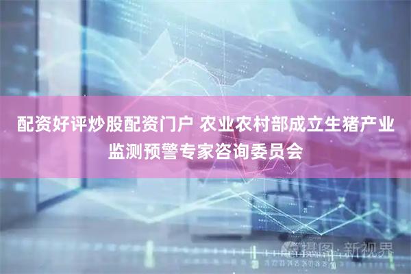 配资好评炒股配资门户 农业农村部成立生猪产业监测预警专家咨询委员会